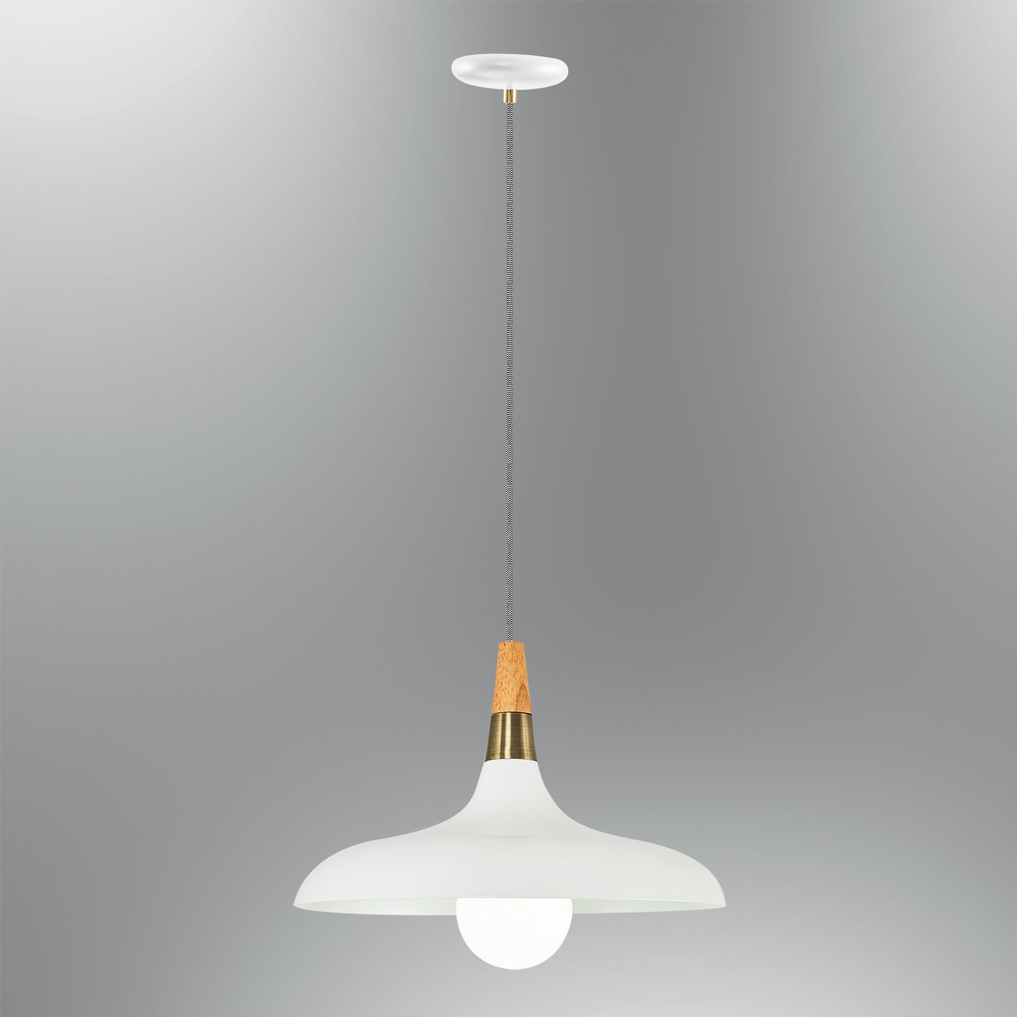 Adomum 5021-1A - Industriële Hanglamp