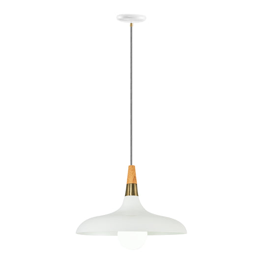 Adomum 5021-1A - Industriële Hanglamp